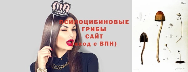 СК Алзамай