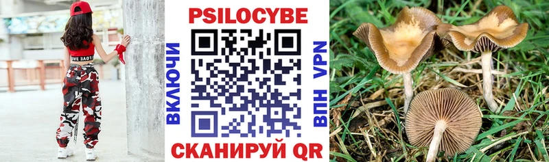Галлюциногенные грибы мухоморы  Архангельск 